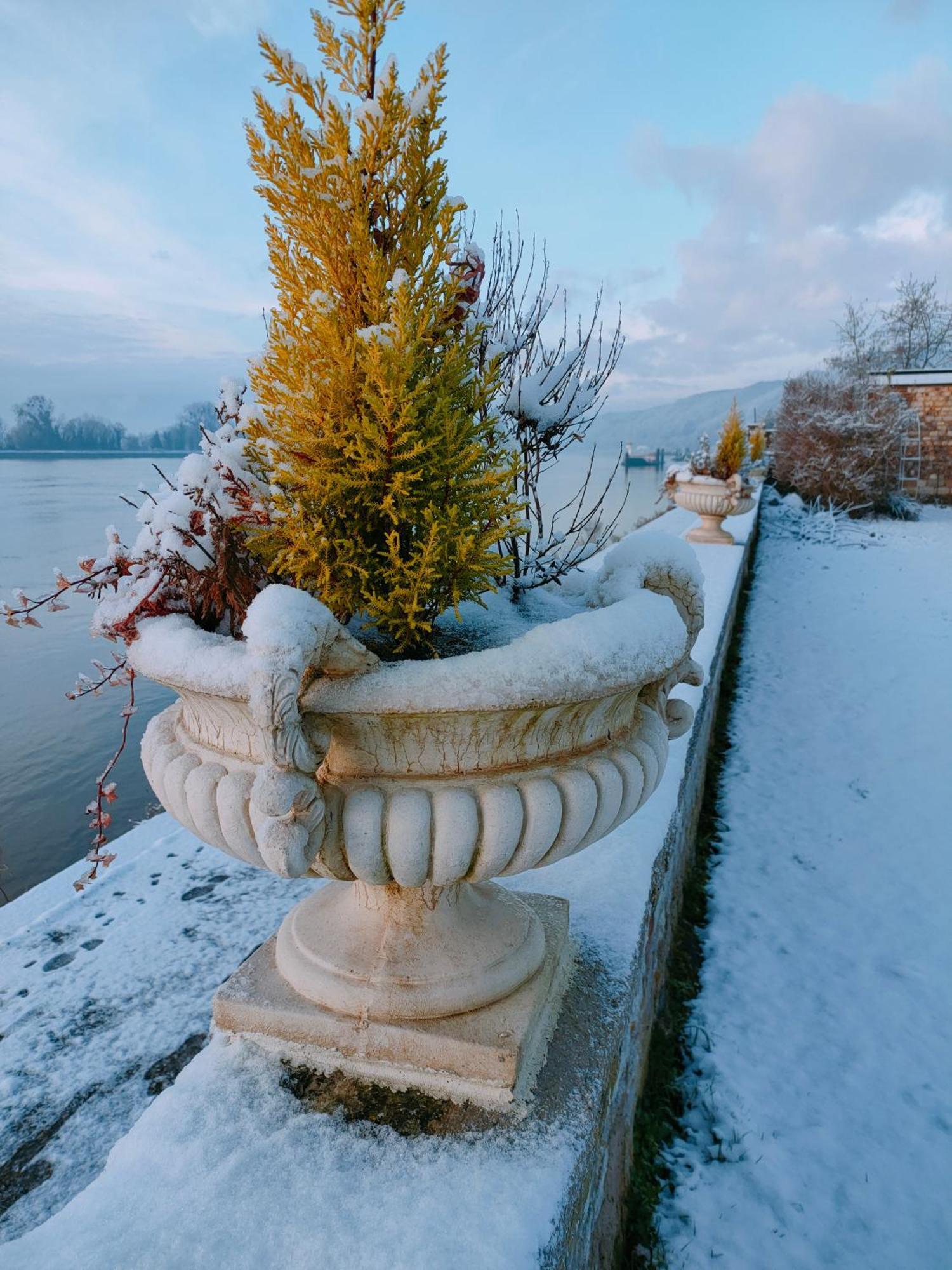 Demeure En Seine - Gites Et Chambres D'Hote En Bord De Seine コドゥベック・アン・コー 部屋 写真